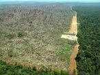 Amazonia deforestada en Brasil para plantar soja