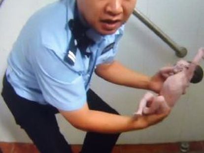 Policial segura o bebê depois do resgate.