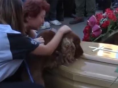 O animal de estimação de Andrea Cossu não parou de farejar seu caixão durante seu enterro