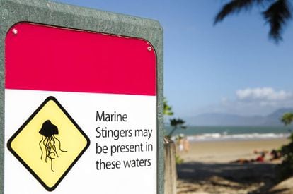 Aviso da presença de cubomedusas (“marine stingers”) numa praia do norte da Austrália.