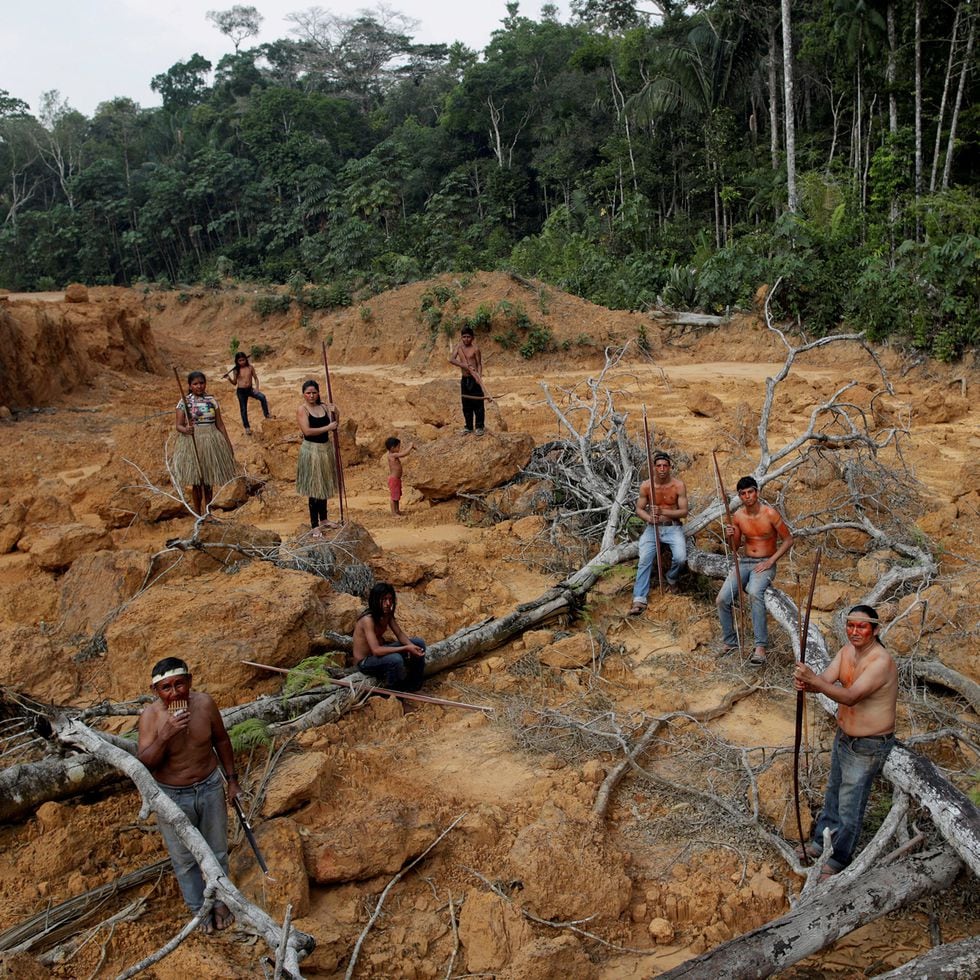 Preservação da biodiversidade pode contribuir para evitar proliferação de  vírus e novas epidemias - Eco21