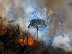 (FILES) In this file photo taken on August 15, 2020 smoke rises from an illegally lit fire in Amazon rainforest reserve, south of Novo Progresso in Para state, Brazil,. - A total of 1,180 km2 were deforested in the Brazilian Amazon in May, an increase of 41% over the same period last year and a record for the month of May, according to data from the National Institute for Space Research (INPE). (Photo by CARL DE SOUZA / AFP)