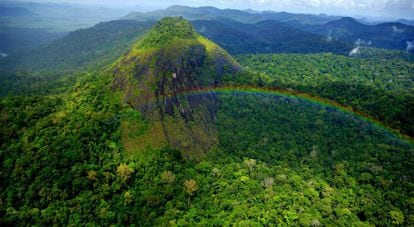 Vista do parque Nacional Montanhas do Tumucumaque, no Amapá.