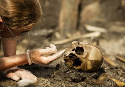 Pesquisador analisa um crânio no jazigo de Alken Enge (Dinamarca).