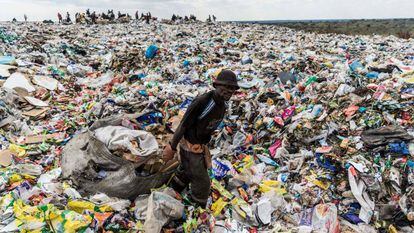 Dia Mundial do Meio Ambiente: a ‘epidemia’ de plásticos, em imagens
