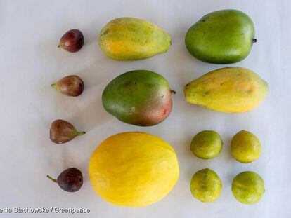 Figo, mamão, manga, melão e limão brasileiros dentre as frutas analisadas pelos laboratórios alemães.