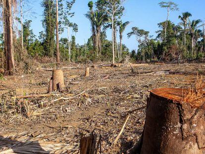 Operação realizada pelo IBAMA - Instituto Brasileiro do Meio Ambiente e dos Recursos Naturais Renováveis - com o apoio policial da Força Nacional, na Terra Indígena Ituna-Itatá, na bacia do rio Xingu. 