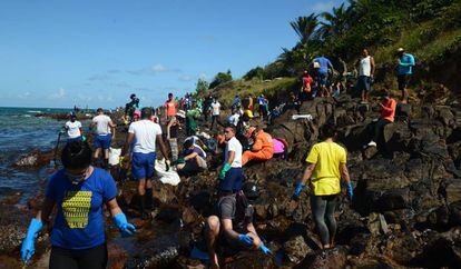 Voluntários se mobilizam para limpar a praia de Itapuama, em Cabo de Santo Agostinho (PE).