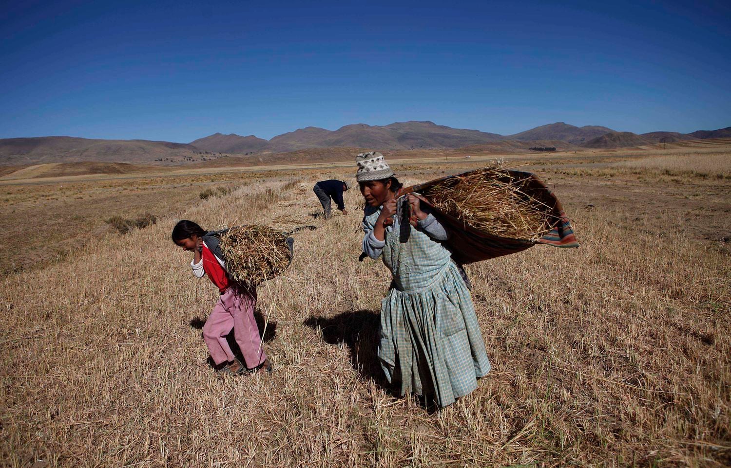 Nesta foto, tirada em maio de 2011, uma mulher e sua filha carregam sua colheita de aveia em Achacachi, na Bolívia, afetada pela pior seca em 20 anos.