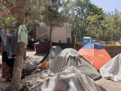 Aspecto do acampamento que os refugiados internos dos últimos combates instalaram no parque Shahr-e Now, em Cabul. 