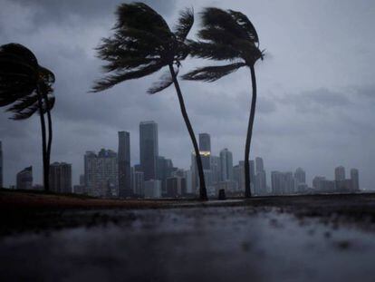 Furacão Irma atinge a Flórida