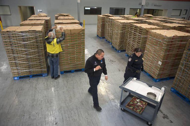 Agentes alfandegários e tributários dos EUA examinam carregamento de morangos em Tijuana (México).