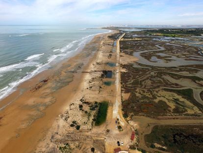 Erosão provocada pelo temporal Emma em 2018 na praia de Camposoto (Cádiz).