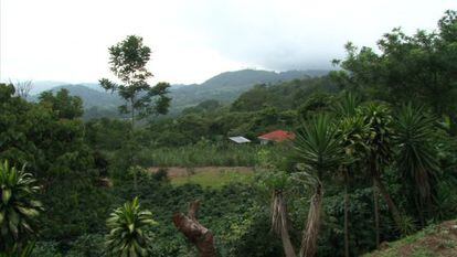 Costa Rica quer ser neutra em carbono at&eacute; 2021. 