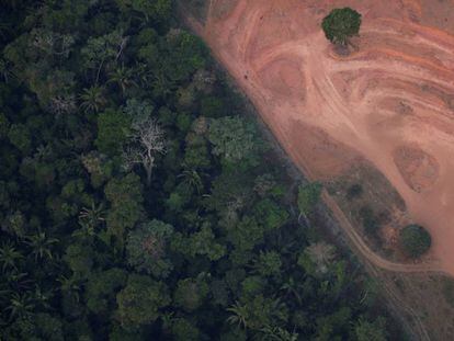 Vista aérea de uma zona deforestada cerca de Porto Velho (Estado de Rondonia).