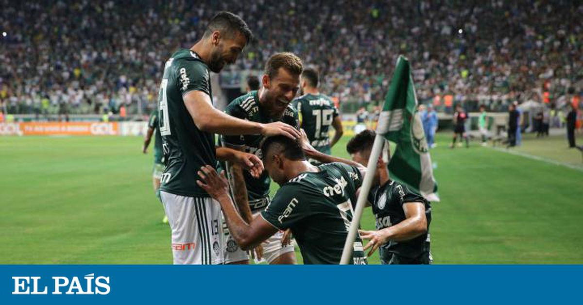 Fluminense é superado pelo Palmeiras fora de casa no Brasileirão