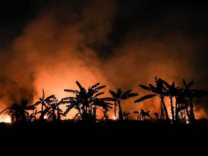 Incêndio em uma área de floresta amazônica em Porto Velho, Rondônia, no dia 9 de setembro de 2019.