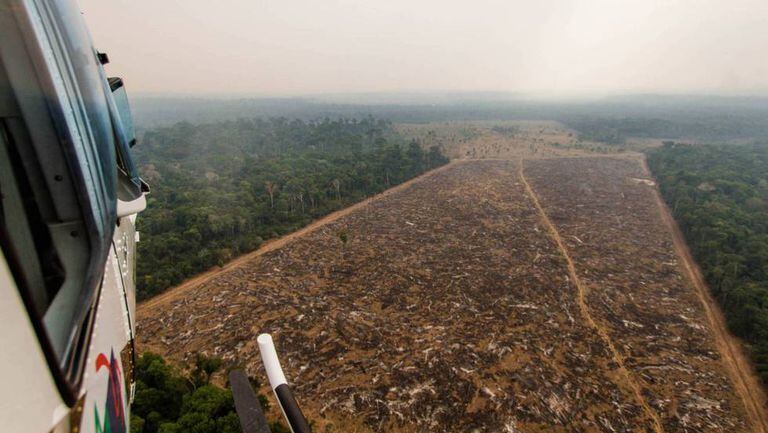 Helicóptero do IBAMA sobrevoa área desmatada ilegalmente.