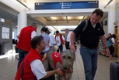 Terapia com animais no aeroporto de Los Angeles.