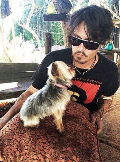 Johnny Depp, com um dos seus cachorros.