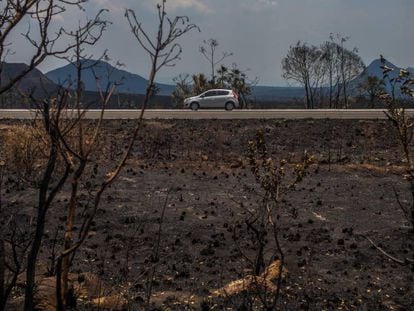 Paisagem destru&iacute;da pelo fogo na Chapada dos Veadeiros.