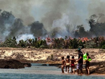 Uma das ilhas do Xingu, desmatada e queimada para o enchimento do lago de Belo Monte.