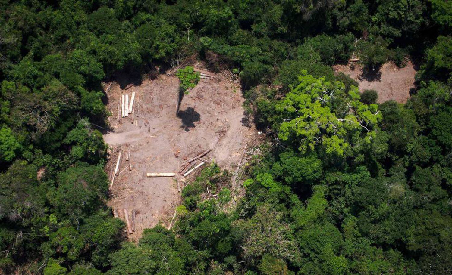 Foto aérea da Amazônia em 13 de outubro de 2014.