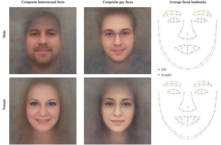 Imagem do estudo, que supostamente mostra traços faciais homossexuais e heterossexuais