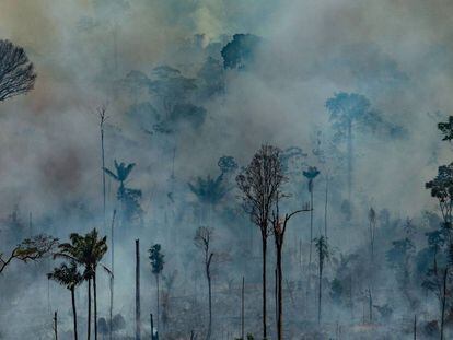 A Amazônia devorada pelos incêndios, em imagens