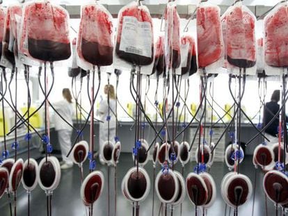 Justiça europeia avaliza a proibição de que homossexuais doem sangue