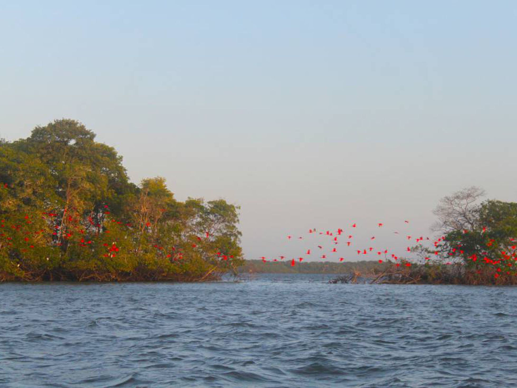 Encantos Naturais do Delta do Parnaíba: O Encontro do Maranhão com o Piauí