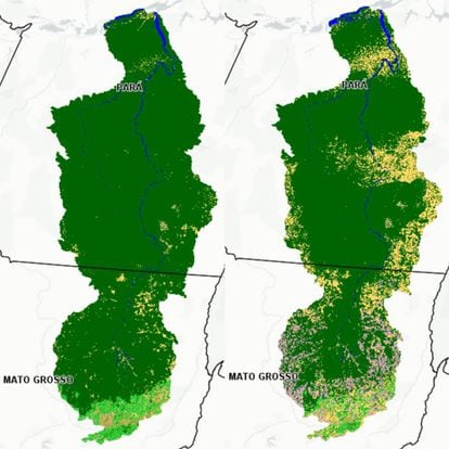 Imagens de satélite da bacia do rio Xingu, território com mais de 530.000 quilômetros quadrados do Mato Grosso e do Pará, em dois momentos. Em 1985, a maior parte de sua cobertura está intacta; já 2018 mostra o avanço sobretudo da pecuária.