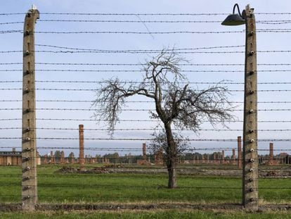 Auschwitz: a luta para preservar a memória do horror