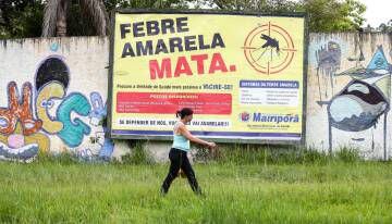 Mairiporã, localizada a 40km de São Paulo, registra grande parte dos casos de febre amarela no Estado.