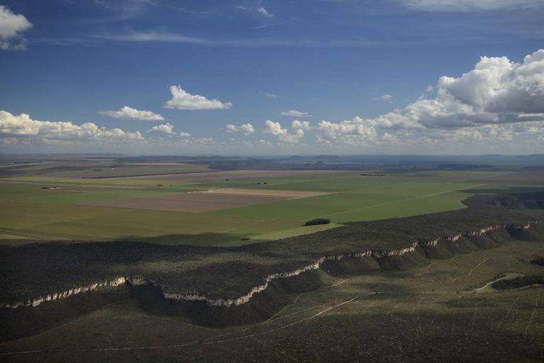 Imagem de zona desmatada para cultivo no Cerrado do Brasil ao lado de espaço de conservação em maio.