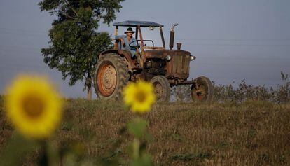 Área rural em Pinar del Río (Cuba), em foto de arquivo.