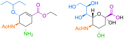 Estrutura química do antiviral Tamiflu (à esquerda), usado contra o vírus da gripe, e do ácido siálico, um açúcar que faz parte do revestimento de glicano de nossas células (à direita).