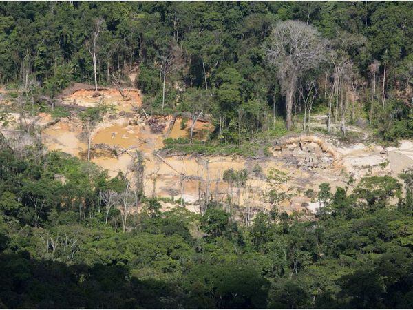 Garimpo dentro da Terra Indígena Yanomami flagrado durante sobrevoo da Funai no último dia 18.