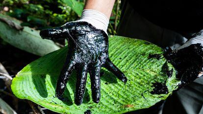 Mão manchada de petróleo: parte do tour que tem como objetivo mostrar aos visitantes os enormes danos que empresas petrolíferas causaram ​​ao meio ambiente