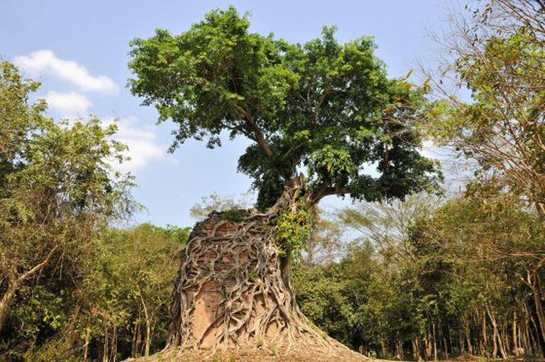 Sambor (Camboja) / SIGURD DOEPPEL