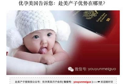 Reprodução de um site chinês de 'turismo de maternidade'.