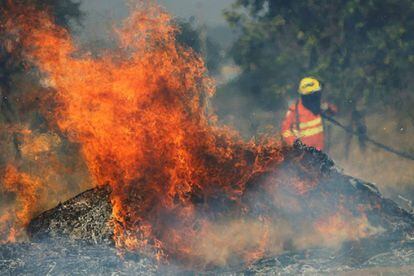Bombeiro tenta extinguir as chamas durante incêndio que começou durante a estação de seca em Brasília.