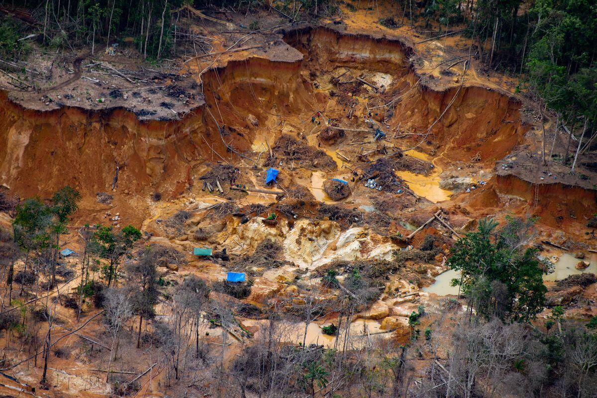 Bolsonaro inaugura ponte às margens de terra Yanomami e ignora crise que põe povo indígena na mira de garimpeiros