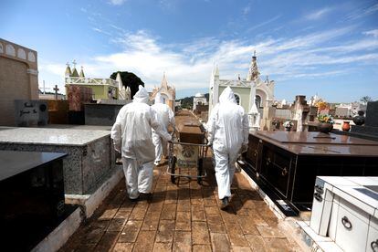 Coveiros se preparam para sepultar uma vítima do coronavírus em São Paulo.