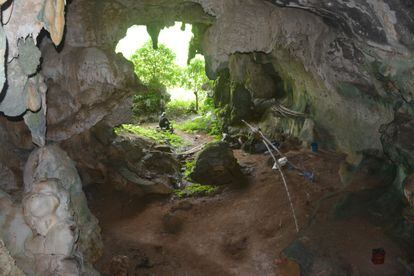 Caverna Leang Tedongnge na ilha de Célebe na Indonésia.