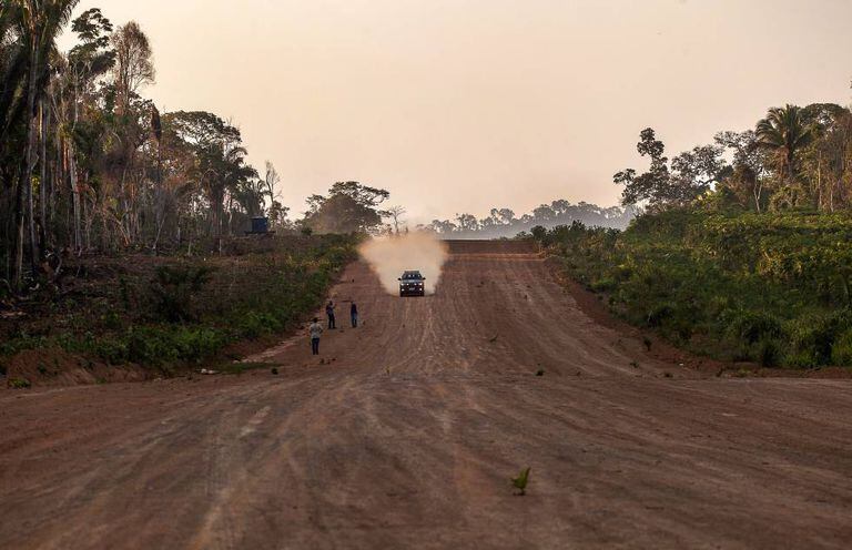 Pista de pouso ilegal em plena floresta amazônica.