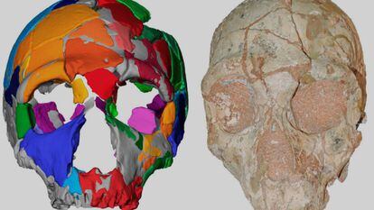 O crânio 2 da Gruta de Apidima (Grécia), atribuído a um neandertal e a reconstrução digital.