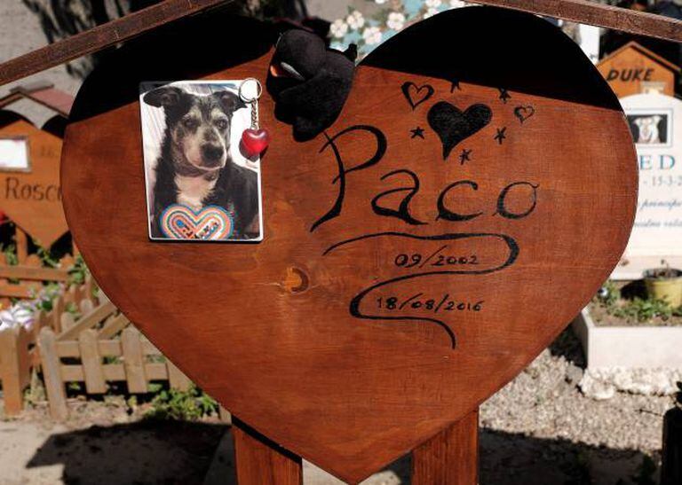 Cemitério de animais de Casa Rosa (Itália). ALBERTO PIZZOLI/AFP/Getty Images