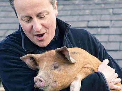 Biografia de David Cameron e #piggate levam Reino Unido à loucura