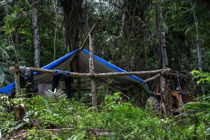 Acampamento de exploradores de madeira dentro do território Suruí. 